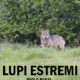 lupi estremi