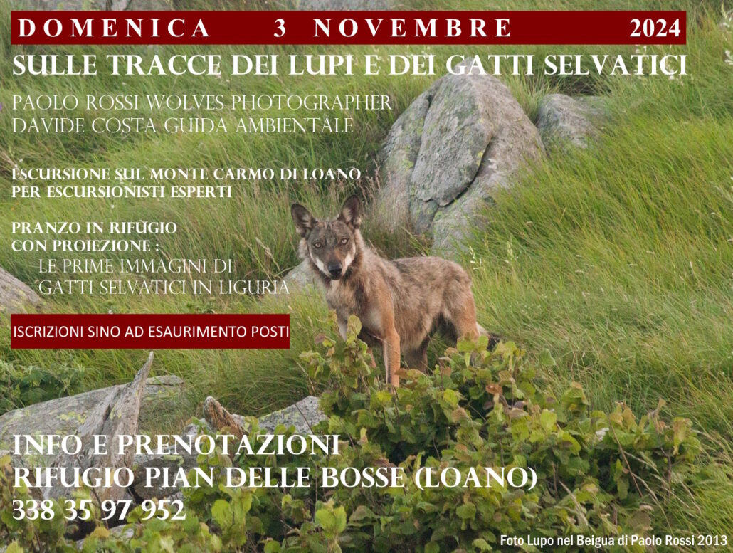 3 novembre Pian delle Bosse